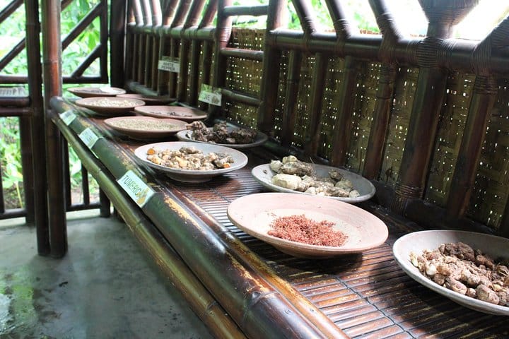 learn the abundance of Bali spices