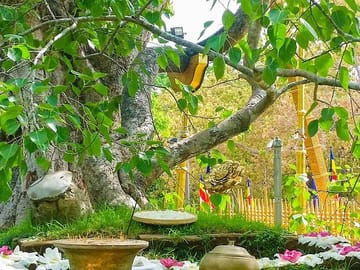 Aukana-and-Anuradhapura-Day-Tour-From-Polonnaruwa-1