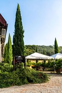 The Wines of Corbara: Exploring the Flavors of Umbria
