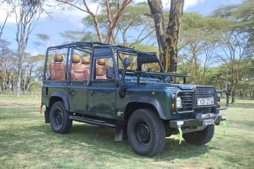 Nairobi Full Day Cultural and Wildlife Tour by Van and Jeep