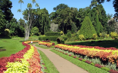 Colombo Hills and Safari Tour: Nature and Culture Experience