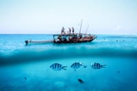 Mnemba Island Private Boat – Snorkel & Dolphin Adventure 2