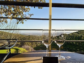 View of Stellenbosch from Wine Estate