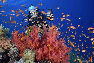 Red Sea Scuba Diving Tour in Hurghada, Egypt