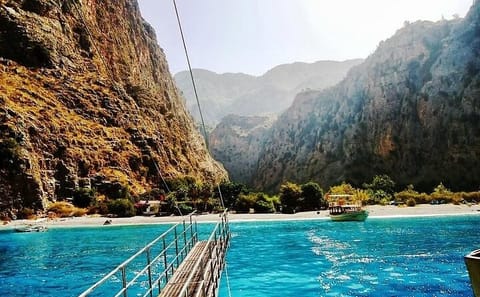 Butterfly Valley Boat Tour with Lunch from Fethiye