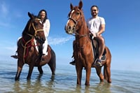 Hurghada : Horse Riding 2 Hours Sea & Desert with Transfer 10