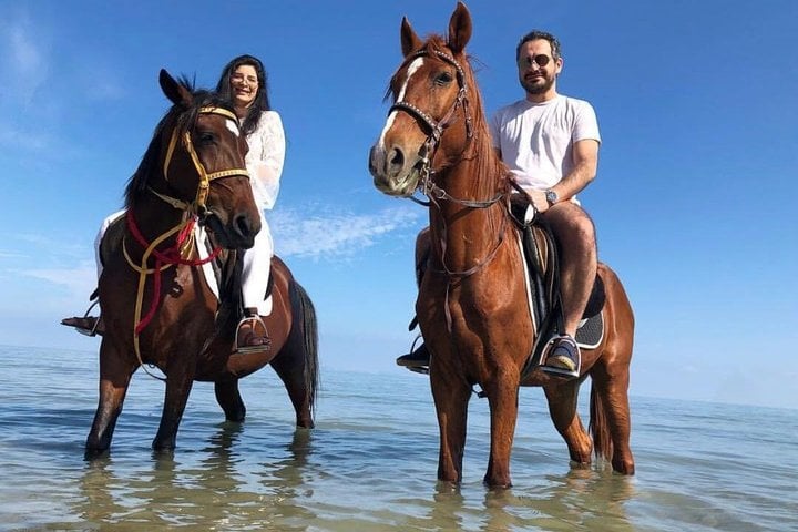 Hurghada : Horse Riding 2 Hours Sea & Desert with Transfer 10