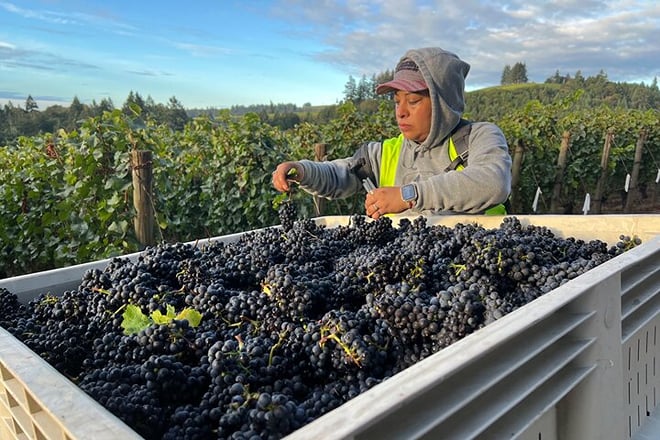 Custom Willamette Valley Wine Tours from The Allison Inn and Spa - Photo 5