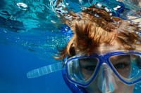 Key West Snorkeling Adventure from Miami 4