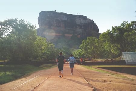 Sigiriya and Dambulla Temple Tour: Explore Sri Lanka's Cultural Treasures