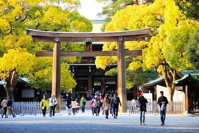 Private Tokyo Full-Day Tour by Chartered Vehicle photo 2