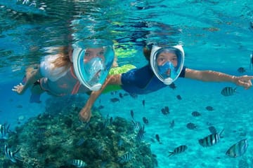 Snorkeling Adventure at Dolphin House Reefs in Hurghada