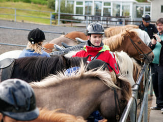 Lava Tour - Horseback Riding through the Lava Fields, photo 11