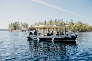 Lake Saimaa Small-Group Cruise with Stories and Music
