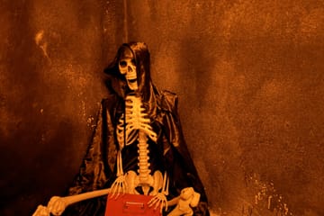 Escape Game Experience at Dark House Adventure, Vichit
