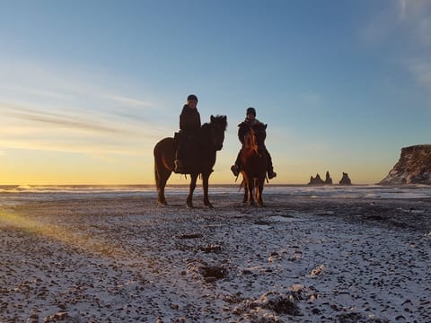 Black Beach Riding Tour