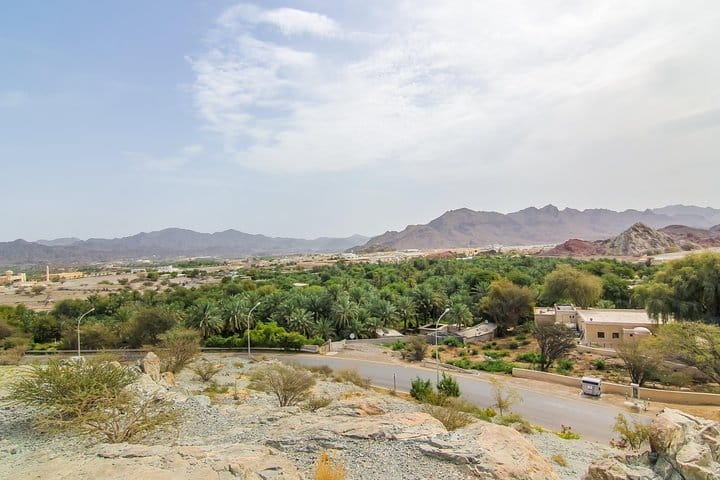 4x4 Hatta Safari to Fossil Rock & Honey Bee Garden visit with Breakfast