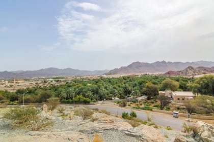 4×4 Hatta Safari to Fossil Rock & Honey Bee Garden visit with Breakfast