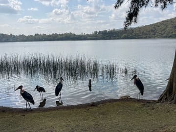 Day Trip to Bishoftu Lakes from Addis Ababa