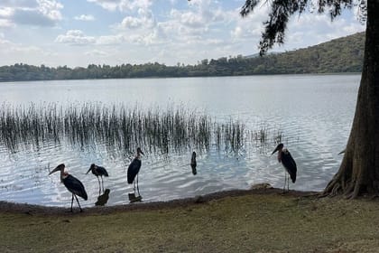 Day Trip to Debre Zeit/ Bishoftu Relaxing Tour