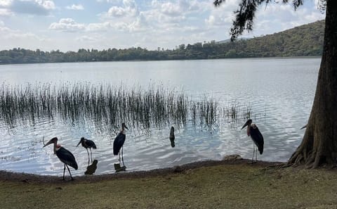 Day Trip to Bishoftu Lakes from Addis Ababa