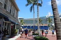 Snorkeling Key West Florida Day Trip Adventure with Boat, Snorkel in the Barrier Reef, Music & Free Open Bar 8