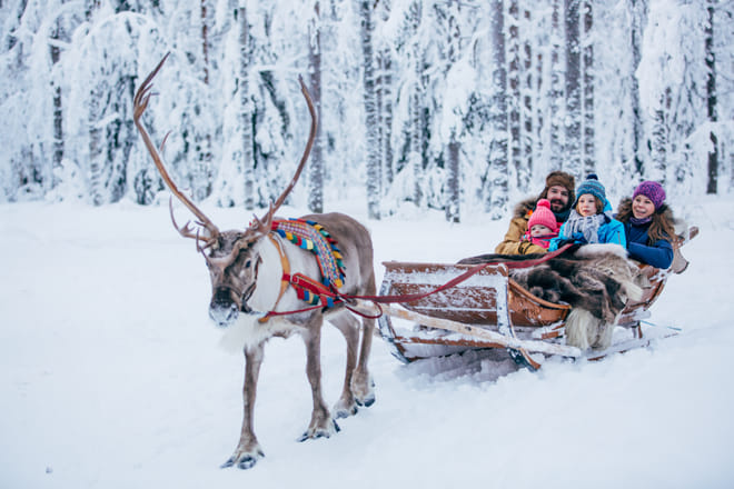 Reindeer Farm Visit & Sled Ride 5