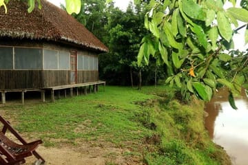 Amazon Jungle Tour in Madidi National Park from Rurrenabaque