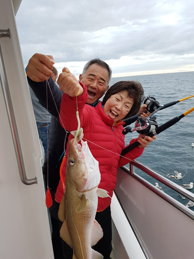 Whales & Sea Angling 7