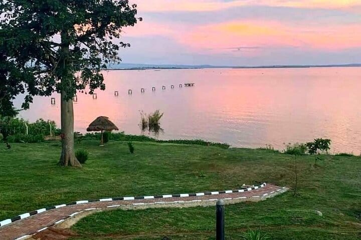 Pathway to the source