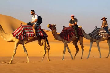 Abu Dhabi Morning Desert Safari with Sandboarding