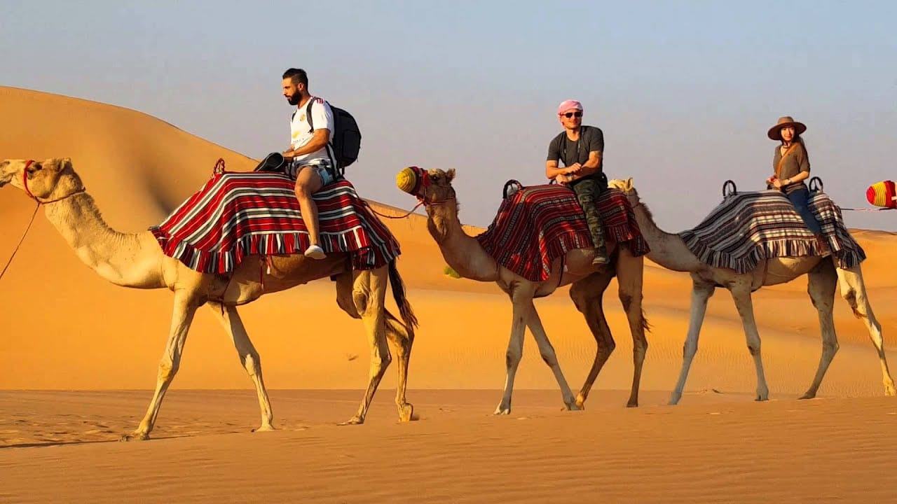 desert safari abu dhabi tours