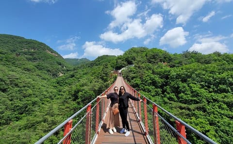 Private DMZ Tour from Incheon Layover to Seoul