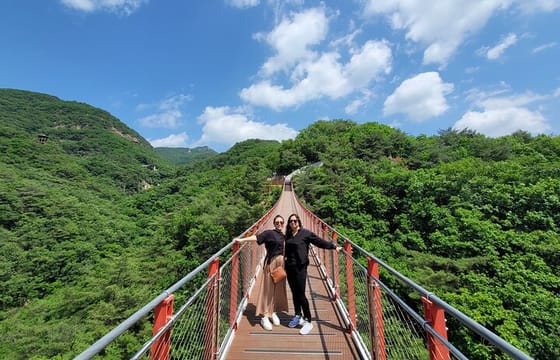 Full day Layover Private DMZ tour from Cruise and Flight