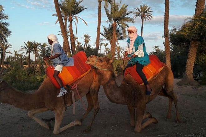 Camel Ride in the Palm Grove 3