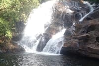 Sinharaja Rain Forest Tour from Colombo 4