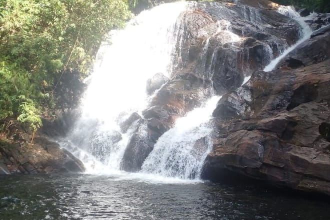 Sinharaja Rain Forest Tour from Colombo 4