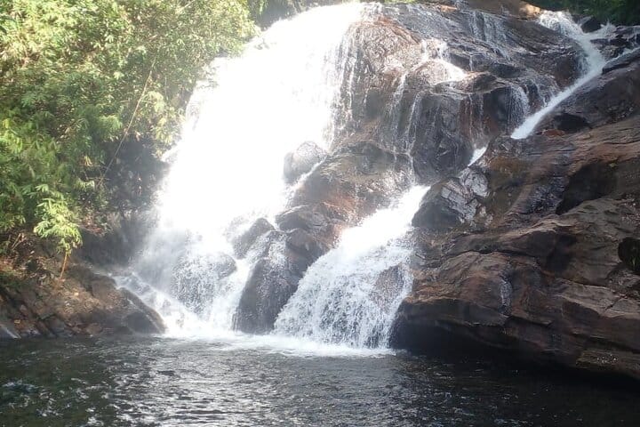 Sinharaja Rain Forest Tour from Colombo 4