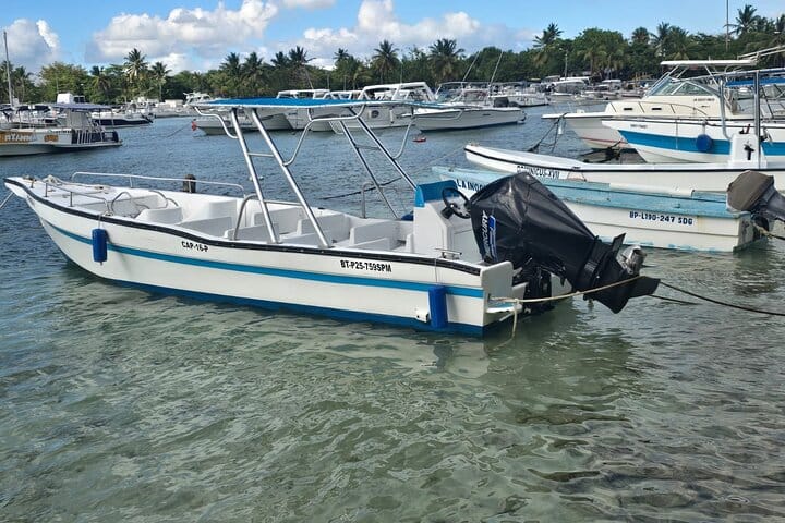 5 tours in 1 (Eco Farm/Horseback/City Tour/Buggy/Zipline)