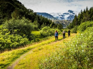 Þórsmörk Hike | Day Tour | Midgard , photo 8