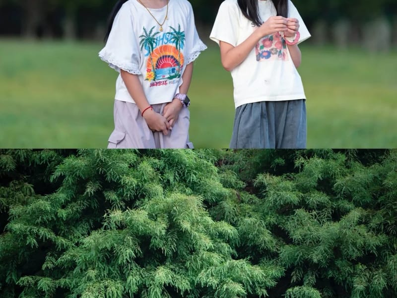 Shanghai: Forest Camp & Chinese Folk Culture Family Day