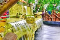  Dubai Butterfly Garden  7