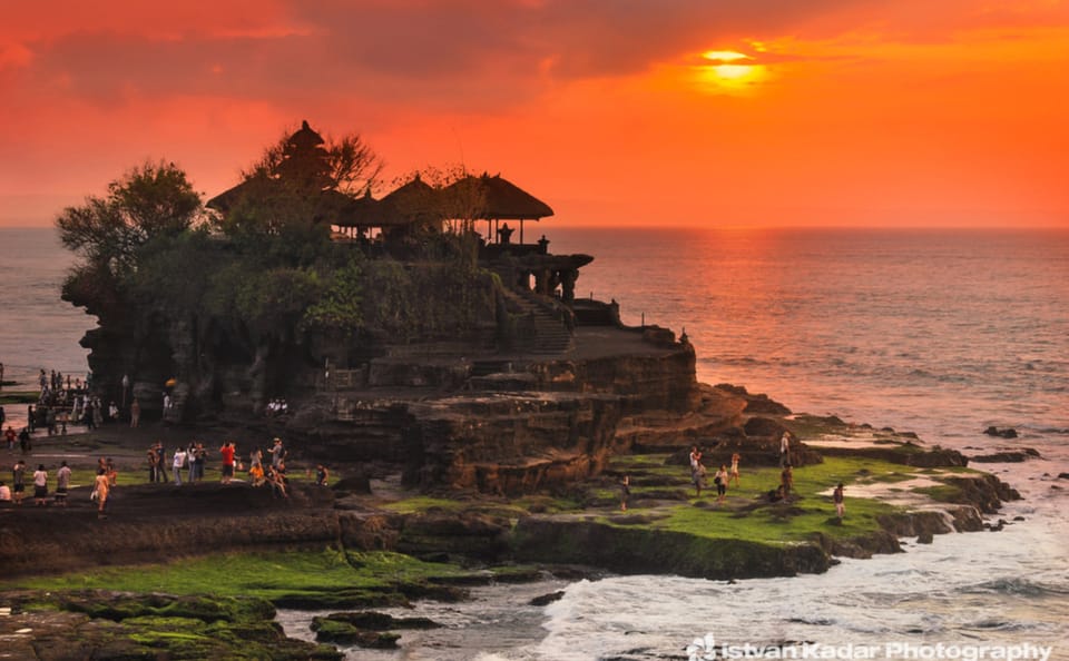 Bali Day Tour: Jatiluwih Rice Terraces and Tanah Lot Temple
