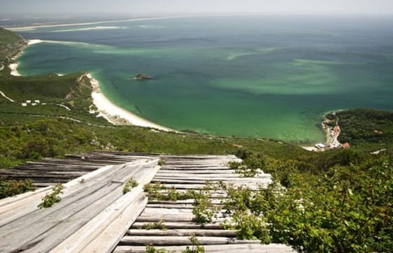 Lisbon Wine Tour: Explore Azeitão, Palmela, and Sesimbra