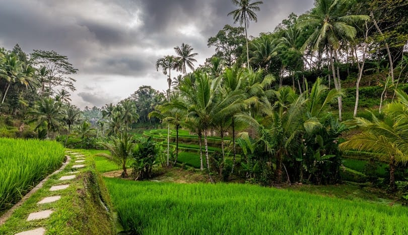 Bali : Fullday Tour West Nusa Penida Island