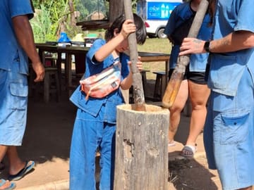 Full-Day Elephant Sanctuary and Pad Thai Cooking in Chiang Mai