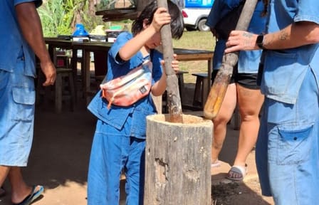 Full-Day Elephant Sanctuary and Pad Thai Cooking in Chiang Mai