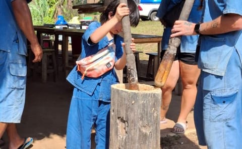 Elephant Sanctuary and Pad Thai Cooking Workshop in Chiang Mai