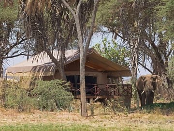 4-Day Safari Adventure in Nairobi and Samburu National Reserve