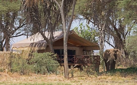 4-Day Safari Adventure in Nairobi and Samburu National Reserve